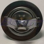 Low Temperature Thermostat (160F/71℃)